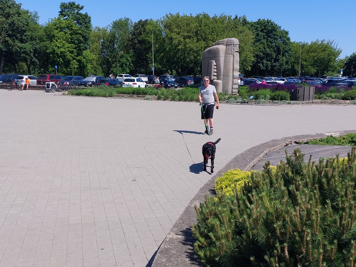 Beste fietskar rit ooit